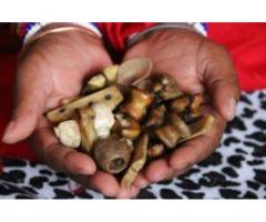 +27672740459 Bring Back Ex Love, Sangoma In California, Traditional Healer\Love Spell Caster In Joha
