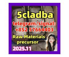2709672-58-0 5cladba 5CLADBA,5CLANDA, 5cladba cas:2709672-58-0pure rew chemical powder