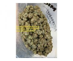 Signal: +(34 607218704) BUY WEED ONLINE,BUY WEED IN USA,BUY WEED IN UK,BUY WEED IN GERMANY