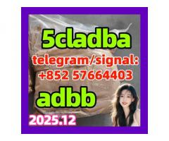 5cladba 5cladba Yellow Powder 5CL-ADB-A 5F-Adb 5Fadb