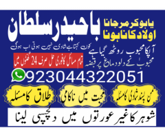 Amil Baba for love marriage, husband control, wealth, Ex-love back, Divorce, Visa problem,and reveng