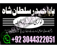 Authentic Amil Baba Canada Kala Jadu Expert England jurmny Famous Amil Baba America