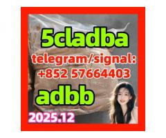 5CL-ADB supplier 5cladba 5cladb vendor on sale