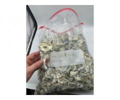 Signal: +(34)607218704) Oxycodone Adderall pills fentanyl, Crystal meth for sale, Weight loss inject