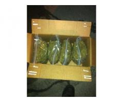 BUY WEED,SHROOMS,ADHD Medications , We sell FDA approved Weight loss medication