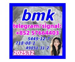 CAS 5449-12-7 BMK Glycidic Acid-bmk powder-factory supply