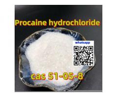 Purity% 99.4 İlaç Hammadde Procaine CAS 51-05-8 Çin'den Kapıdan Kapıya Çift Çin Paket Vergi Hizmetle