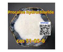 Purity% 99.4 İlaç Hammadde Procaine CAS 51-05-8 Çin'den Kapıdan Kapıya Çift Çin Paket Vergi Hizmetle