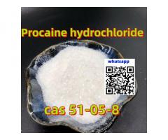 Purity% 99.4 İlaç Hammadde Procaine CAS 51-05-8 Çin'den Kapıdan Kapıya Çift Çin Paket Vergi Hizmetle