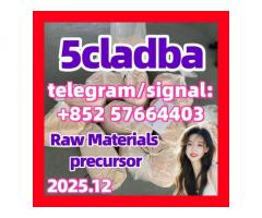 5CL-ADB China Supplier 5cl 5cladba 5cladb