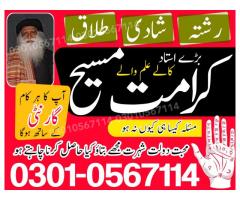 Top-Top 10 astrologer in USA Best Indian astrologer in USA, AsliAmilBaba