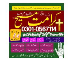 Top-Top 10 astrologer in USA Best Indian astrologer in USA, AsliAmilBaba