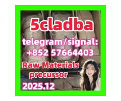 5cladba adbb raw material 5CL-ADB-A precursor raw