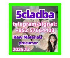 5cladba 1kg/500g sample raw material for sale