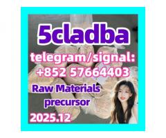 Sell 5cladba adbb JWH-018 5FADB in stock 5cladba 5fadb 5f-adb 5-cl-adb-a jwh-018