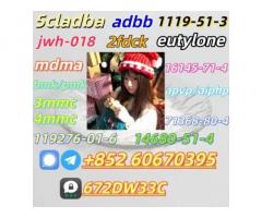 Safe delivery CAS 119276 – 01 – 6 China Factory