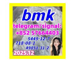 BMK Powder GLYCIDIC ACID (SODIUM SALT) CAS 5449-12-7