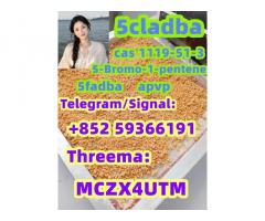 Global Warehouse CAS 1119-51-3 5-Bromo-1-pentene