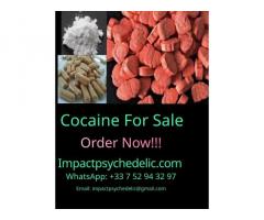 Buy A+ Mushrooms Online WhatsApp: +33 7 5294 3297