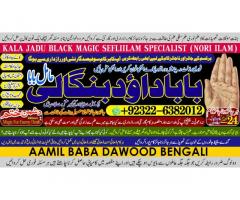 love problem solution specialist online love problem solution love marriage specialist A4