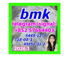 BMK Powder GLYCIDIC ACID (SODIUM SALT) CAS 5449-12-7