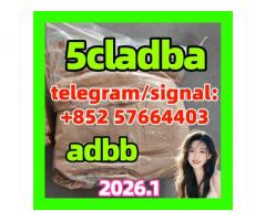 5cladba precursor raw 5cl-adb-a raw material 考虑