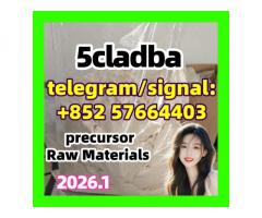 5cladba Original Product Name 5clAdba Synonyms 5clAdba CAS NO. 137350-66-4 Purity