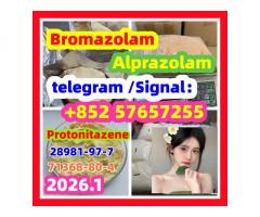 High quality CAS:119276-01-6 ProtonitazeneHigh quality CAS:119276-01-6 Protonitazene