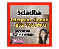 5cladba 5cladb Raw material 5CL-ADB-a 5fadb Cannabinoids 1119-51-3 68-12-2 dmf