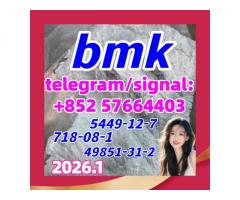 BMK Glycidic Acid sodium salt CAS 5449 - 12 - 7