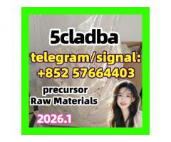 5F-ADB raw materials, 5cladb, ADB-BINACA, 5cladba, 5cl-adb