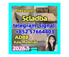 5cladba Original Product Name 5clAdba Synonyms 5clAdba CAS NO. 137350-66-4