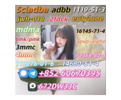 Safe delivery CAS 119276-01-6 China Factory