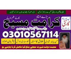 Top-Top 10 astrologer in USA Best Indian astrologer in USA | Famous astrologers in USA