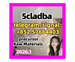 5cladba 5cl precursors 5cl-adb-a 5cladb-a 6cladba k2 powder spice raw materials DMF