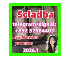 5cladba raw material 5CL-ADB-A precursor raw