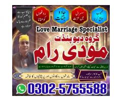 Top-Top 10 astrologer in USA