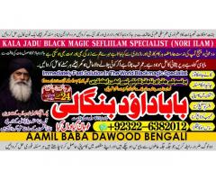 love problem solution specialist online love problem solution love marriage specialist B1