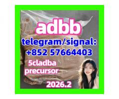 Raw materials ADBB adb-butinaca ADBA Cas2682867-55-4 5cladba