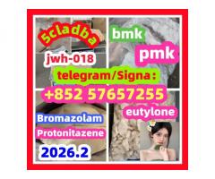 BMK Glycidic Acid sodium salt CAS 5449 - 12 - 7pmk