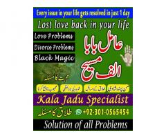 kala jadu expert,  Black magic expert,  love marriage specialist astrologer,  Famous amil baba,