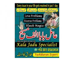 kala jadu expert,  Black magic expert,  love marriage specialist astrologer,  Famous amil baba,