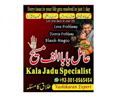 kala jadu expert,  Black magic expert,  love marriage specialist astrologer,  Famous amil baba,