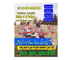 Amil baba Bangali,  Bangali Amil,  famous astrologer,  love marriage specialist molvi ji,