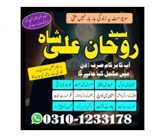 love problem,  solution astrologer,  Top 10 Amil Baba,