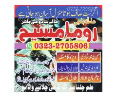 love marriage specialist amila baji,  kala jadu expert,  Black magic expert,