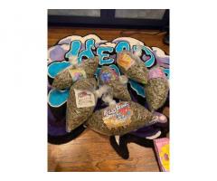 Signal:::(@Realjames.39) BUY JWH018,5CLADBA,6CLADBA,FENTANY POWDER, JWH-073 JWH-200, JWH-250,JWH-2,A