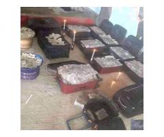 +2347033464470 ✓how to join illuminati occult for wealth and power in Nigeria and diaspora