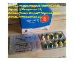 Signal::+(34)607218704) Order xanax,Balance Shroom Chocolate Bar Online safely/Magic Mushrooms for s