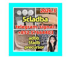 5cladba Yellow Cannabinoid Powder 5CLadbb 5fadb